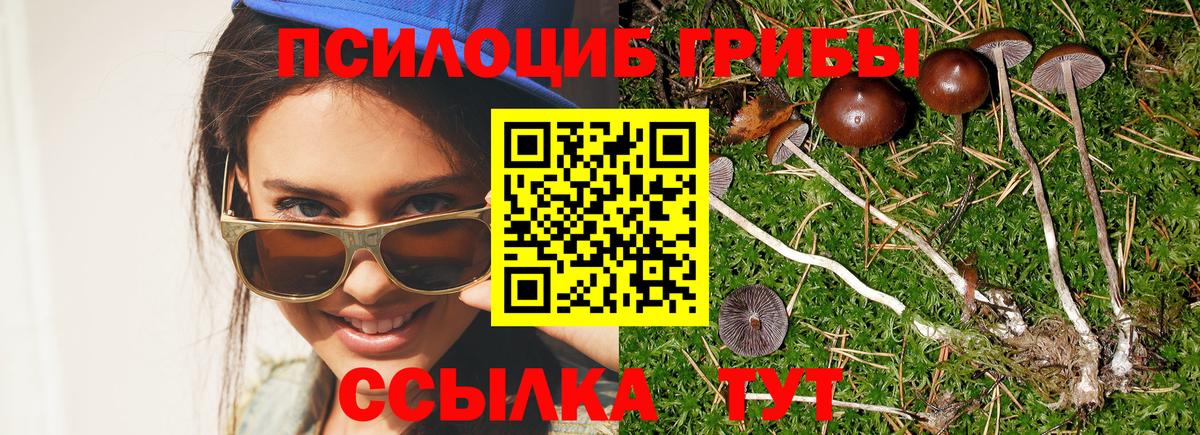 Псилоцибиновые грибы ЛСД Еманжелинск