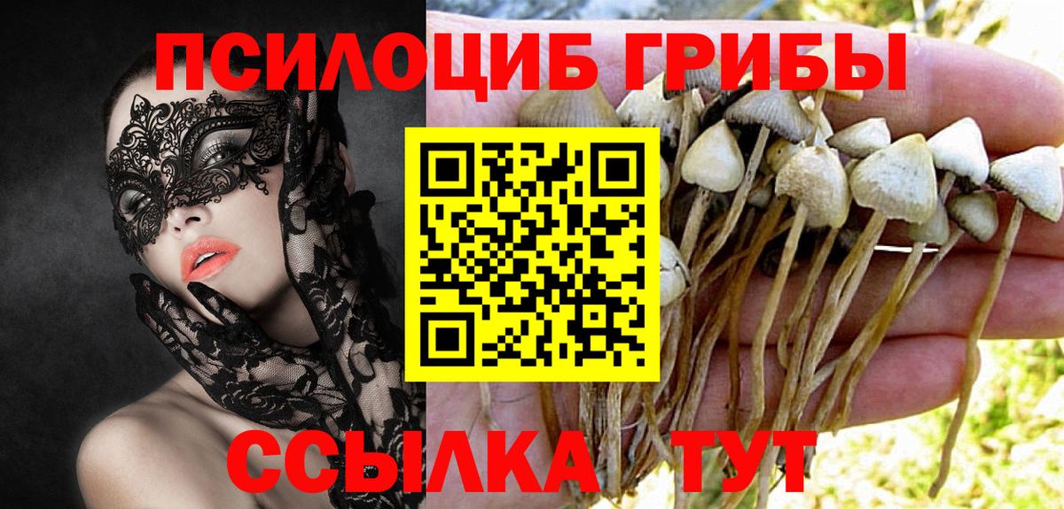 Псилоцибиновые грибы MAGIC MUSHROOMS  Галлюциногенные грибы Psilocybe  Еманжелинск  Вход с VPN 